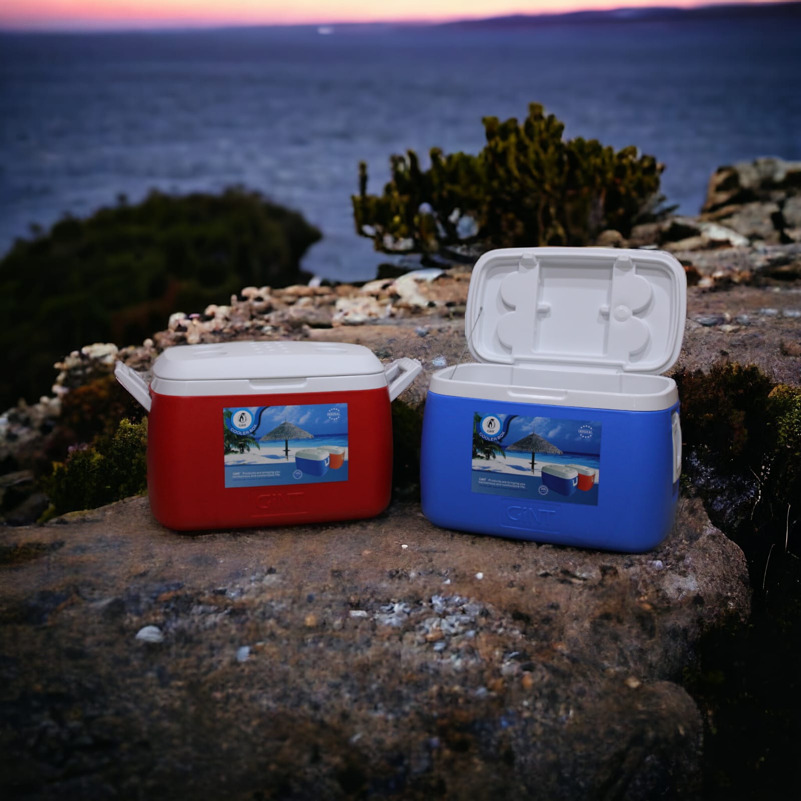 WhatsApp Image 2024-05-16 at 4.00.19 PM